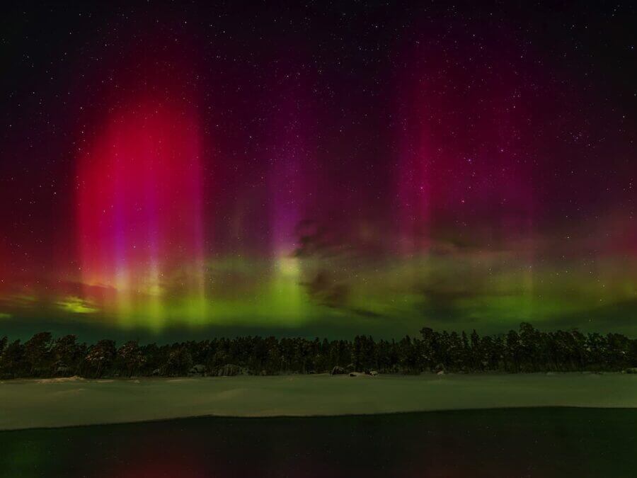 Red Boreal Aurora