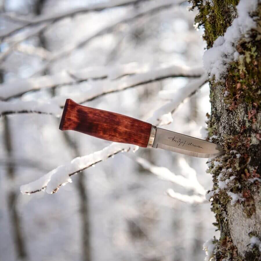 Brusletto Fridtjof Nansen