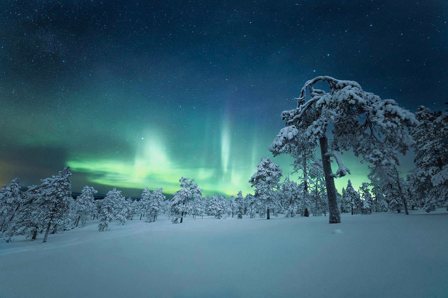 Northern Aurora